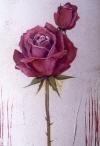 Detailansicht des Bildes "des roses et des cerises"